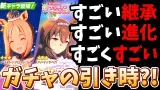 【ガチャ情報】キャラガチャは引き得?!かなりの使い勝手の良さ!!サポカはレンタルで耐えたいけど…。Xmasガチャ性能解説