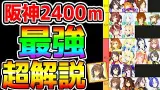 阪神2400ｍチャンミの強そうなウマ娘を先取り解説！王手有効/新衣装アヤベさん固有継承/セイリオス有効 加速ウマ娘はすごく継承を！【ウマ娘プリティーダービー アドマイヤベガナリタトップロード