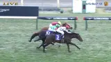 【競馬】レース後のドウデュースの血管がバッキバキですげぇ…