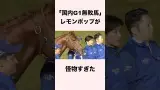 【 競馬 】レモンポップの雑学③ 【 競馬の雑学 】【 ウマ娘 】