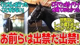 イクイノックス「香港…行ってみたかったですね…」