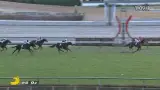 【競馬】ダートで2戦連続圧勝の『アメリカンステージ』、初の芝中京2歳Sも圧勝！しかも連闘！化け物か？