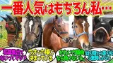 最も容姿がいい牝馬ステークス