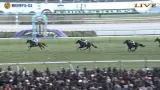 【競馬】アドマイヤズームの口取りに大魔神の姿が！