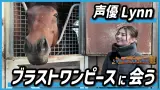 【競馬】Lynnさん、ブラストワンピースに会う