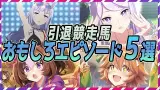 【ウマ娘 競馬】引退競走馬のおもしろエピソード５選【ゆっくり解説】