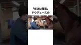 【 競馬 】ドウデュースの雑学⑪ 【 競馬の雑学 】【 ウマ娘 】