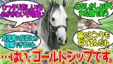 かっこいい馬ですね！ゴールドシップでしょ？