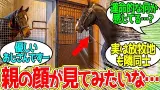 キタサン ← この坊主は本当に素直で聞き分けがいいなぁ…