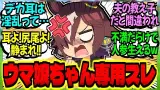 『ヒトミミ出禁！アタシらウマ娘の苦労を存分に語れ！！』